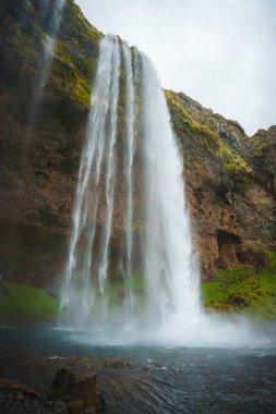İzlanda 'daki Seljalandsfoss şelalesinin çarpıcı manzarası. Eşsiz bir şelale, yemyeşil yosun, engebeli kayalar ve dingin sisli bir atmosferi var..