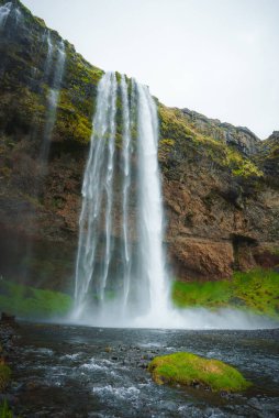 İzlanda 'daki Seljalandsfoss şelalesinin çarpıcı manzarası, yüksek bir şelale, yemyeşil yosun, kayalık oluşumlar ve bulutlu bir gökyüzü altında küçük bir dere.