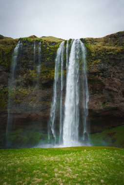 İzlanda 'da yemyeşil yosun ve çimlerle çevrili Seljalandsfoss şelalesinin arkasında bir patika var. Bulutlu gökyüzü sahneye dramatik bir etki katıyor.