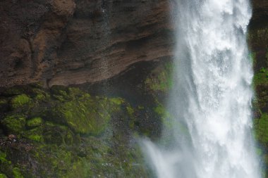 İzlanda 'da, engebeli bir uçurumdan zorla akan bir şelalenin çarpıcı manzarası. Bereketli yeşil yosunlar kayaları kaplıyor ve canlı bir kontrast oluşturuyor..