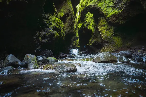 stock image A stunning view of a narrow canyon in Iceland, featuring steep dark walls covered in vibrant green moss and a clear stream flowing over small rocks and pebbles.