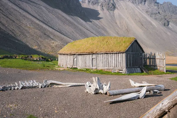 Otlarla kaplı bir çatısı, tahta tahtaları ve basit bir çiti olan kırsal bir İzlanda çim evi. Yıpranmış kemikler ve sürüklenen odun ön plana eşsiz elementler ekler..