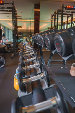 İçinde halterler, ağırlık makineleri ve su ısıtıcıları bulunan lüks bir otelde iyi donanımlı bir spor salonu. Aynalı duvarlar ve sıcak ışıklandırma lüks atmosferi güçlendirir..