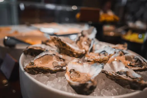 stock image A bowl of fresh oysters on ice in an elegant white bowl, set against a blurred background of a luxury hotels buffet, showcasing high-end dining and attention to detail.