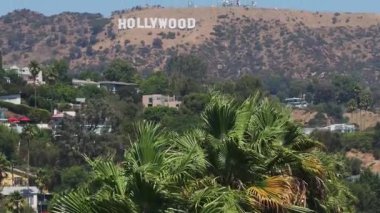 Arka planda Hollywood tabelası olan yüksek Kaliforniya palmiye ağaçlarının havadan görünüşü. Kaliforniya 'nın yaz havası. Beverly Hills yolu.