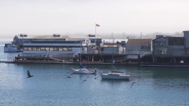 Kaliforniya 'daki Monterey şehrinin güzel hava manzarası rıhtıma yanaşmış birçok yatla birlikte..