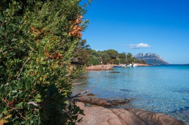 Sardinya kıyılarının sakinliğini turkuvaz suları, demirli yelkenliler, yemyeşil çayırlar ve berrak bir gökyüzünün altındaki kendine özgü sıradağlarla yaşayın..