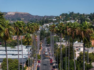 Hollywood tabelasının olduğu Los Angeles Hollywood bölgesi manzarası. Sokakta palmiye ağaçları, konut binaları ve açık bir gökyüzünün altında park edilmiş arabalar..