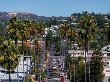 Hollywood, Los Angeles 'ta güneşli bir günde tepede ikonik Hollywood tabelası, açık gökyüzü ve park etmiş arabalarla dolu bir sokak var..