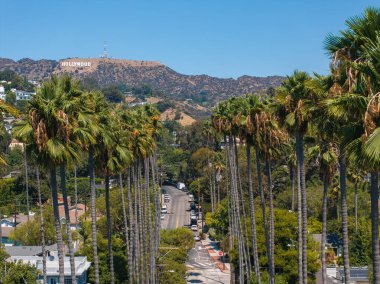 Los Angeles 'ın Hollywood bölgesinin manzarası, tepelerdeki Hollywood tabelasını gösteriyor. Uzun palmiye ağaçları berrak mavi gökyüzünün altında bir yerleşim yeri..