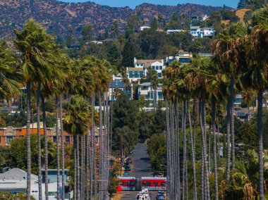Hollywood, Los Angeles 'ta canlı bir caddede uzun palmiye ağaçları ve Hollywood Tepeleri bulunur. Kırmızı bir otobüs açık mavi gökyüzünün altına renk ekler.