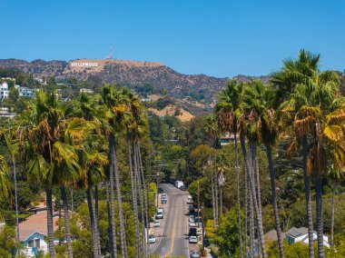 Los Angeles 'ın Hollywood bölgesinin manzarası, tepelerdeki Hollywood tabelasını gösteriyor. Uzun palmiye ağaçları berrak mavi gökyüzünün altında bir yerleşim yeri..