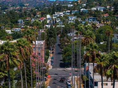 Hollywood, Los Angeles 'ta canlı bir mahallede palmiye ağaçları, çeşitli mimariler ve açık mavi gökyüzünün altında yuvarlanan tepeler bulunur..