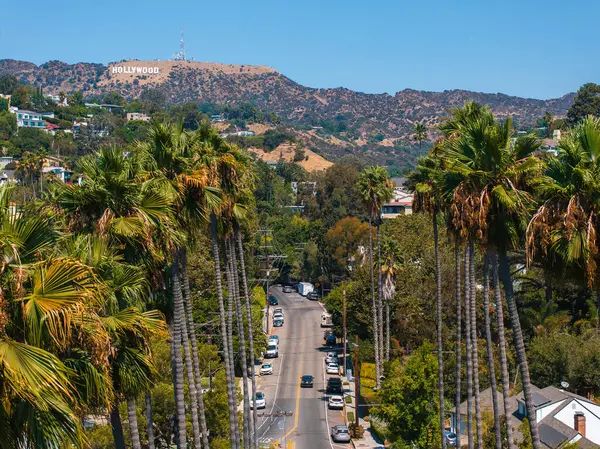 Los Angeles 'ın Hollywood bölgesinin manzarası, tepelerdeki Hollywood tabelası, işlek bir caddede uzanan uzun palmiye ağaçları ve açık mavi bir gökyüzü..