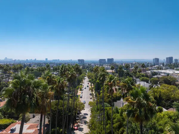 Los Angeles, Kaliforniya 'da gökyüzünde yüksek binalar ve açık mavi gökyüzü olan bir palmiye ağacının gökyüzü perspektifi..