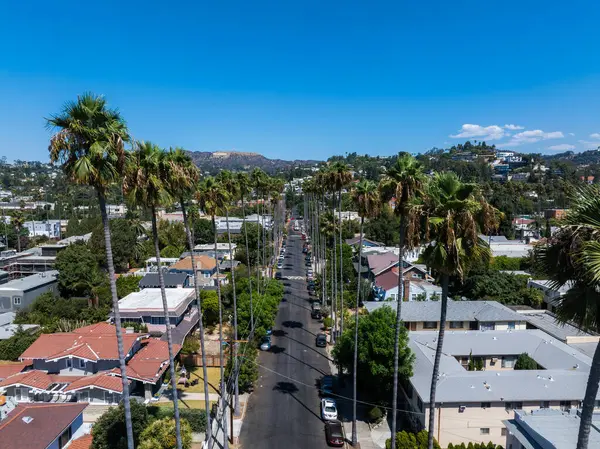 Hollywood, Los Angeles 'ta yüksek palmiye ağaçları olan bir caddenin havadan görünüşü. Hollywood tepeleri görülebilir, yerleşim binaları ve açık mavi gökyüzü.