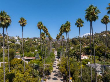 Hollywood, Los Angeles 'ta güneşli bir gün. Sokakta palmiye ağaçları var. Sahnede konutlar, yemyeşil alanlar ve uzak tepeler yer alıyor..