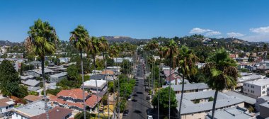 Hollywood, Los Angeles 'taki bir yerleşim bölgesinin havadan görüntüsü, palmiye kaplı sokaklar, evler, alçak binalar ve Hollywood Tepeleri.