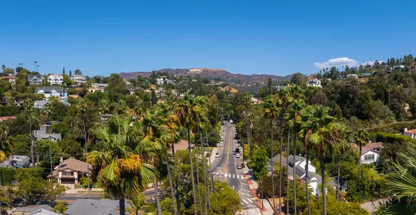 Görüntü, Hollywood Tepeleri ve Tabelasının yer aldığı Los Angeles 'taki Hollywood bölgesini yansıtıyor. Palmiye ağaçları ve evleri olan bir ağaç caddesi görülebilir..