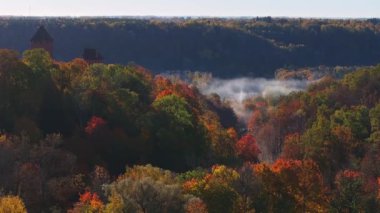 Sigulda, Letonya sonbahar manzarasında canlı kırmızı, turuncu ve sarı yapraklar bulunur. Sis ormanın üzerinde süzülür, dingin ve mistik bir atmosfer yaratır..
