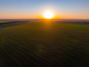 Gün batımında Litvanya 'daki yemyeşil tarlaların havadan görünüşü. Güneş, kıvrımlı bir yol ve görünen dağınık ağaçlarla araziye altın bir parıltı saçar..