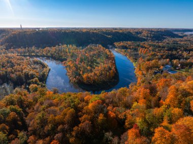 Sonbaharda Sigulda 'nın havadan görünüşü turuncu, kırmızı ve sarı ağaçlarla dolu renkli bir ormanı gösteriyor. Dolambaçlı bir nehir ve uzak bir kule berrak mavi bir gökyüzünün altında görünür..
