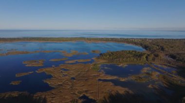 Bataklıklar ve göl manzarası bataklıktan geçerek ormana gidiyor. Açık mavi gökyüzü doğal manzarayı güçlendirir..