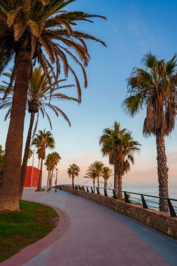 İspanya 'nın Benalmadena kentindeki bir sahil şeridinde uzun palmiye ağaçları ve bir taş korkuluk bulunur. Kırmızı bir bina renk katıyor, ufukta deniz ve gökyüzü buluşuyor..