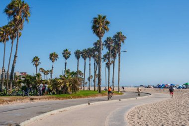 Los Angeles 'taki Venedik Plajı' nda kumlu sahili kaplayan uzun palmiye ağaçları vardır. Diğerleri renkli şemsiyeler altında dinlenirken insanlar virajlı bir yolda bisiklet sürüyor..