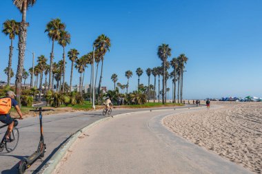 Los Angeles 'taki Venedik Sahili' nde palmiye ağaçlarıyla kaplı kıvrımlı bir patika bulunur. İnsanlar bisiklet ve scooter kullanırken, renkli çadırlar ve plaja gidenler sahneyi dolduruyor..