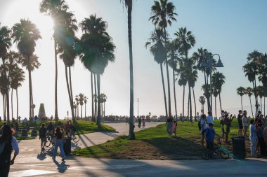 Los Angeles 'taki Venedik Plajı' nda uzun palmiye ağaçları yol kenarına dizilir. Güneş batarken insanlar yürür, bisiklete biner ve toplanır. Sahnenin üzerine sıcak bir ışık tutarlar..