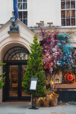 Londra 'daki Sekhmet binasının girişinde canlı çiçek aranjmanları ve bayram dekorunu yükselten küçük yeşil bir ağaçla birlikte yontulmuş bir kedi figürü bulunuyor..