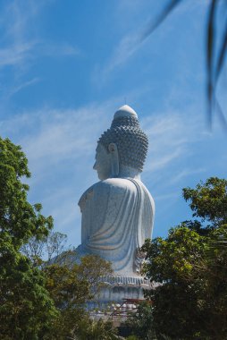 Phuket, Tayland 'daki ikonik Büyük Buda heykeli, arkadan görülüyor, yemyeşil ağaçlarla çevrili ve açık mavi gökyüzüne karşı kurulmuş..