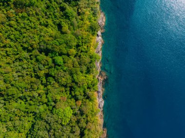 Bereketli yeşil bir tropikal ormanın, koyu mavi denizin Tayland 'da gün ışığında parıldadığı kayalık bir kıyı şeridiyle buluşmasının havadan perspektifi.