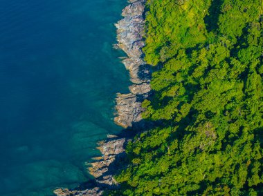 Tayland 'da kayalık uçurumlar, berrak mavi sular ve kıyı şeridi boyunca canlı yeşil yaprakların yer aldığı bir kıyı manzarası..