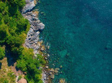 Turkuaz suları, kayalık kıyı şeridi ve muhtemelen Phuket veya Tayland 'daki Phi Phi Adaları' ndaki yemyeşil bitki örtüsü olan sakin bir kıyı şeridi..