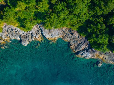 Tayland 'ın Phuket veya Phi Phi Adaları' ndaki kayalık bir kıyı şeridi perspektifi, turkuvaz suları ve yoğun yeşil ormanlarla canlı zıtlıklar yaratır..