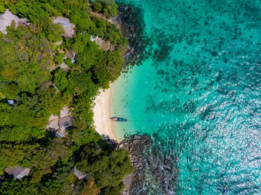 Tayland 'ın Phi Phi Adaları' ndaki küçük bir sahil manzarası, yemyeşil, turkuaz sular, kayalık çıkıntılar ve tek bir uzun kuyruk teknesi ile çevrili..