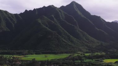 Havai, Oahu 'nun süpürme havası, yeşil dağlar, palmiye ağaçları, kıyı bölgeleri ve dağınık yapılar içeren kumlu bir sahil..