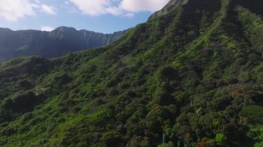 Hawaii, Oahu Adası 'ndaki engebeli Ko olau tepeleri ve derin vadileri, yoğun bitki örtüsü ve parlak mavi gökyüzü. Kamera arazide sorunsuzca süzülüyor..