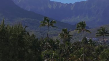 Oahu, Hawaii 'nin üzerinde yavaş, süpürücü bir tava, bereketli palmiye ağaçları, yuvarlanan tepeler arasında küçük bir yerleşim, ve yüksek engebeli dağlar..