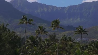 Havadan Oahu, Hawaii manzarası, yemyeşil dağlar ve hafif bir esintide sallanan palmiye ağaçları, sakin bir tavayla sakin sahneyi yakalıyor..