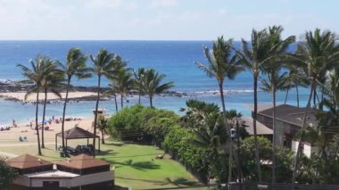 Hawaii, Kauai adasında sakin bir sahil, sallanan palmiye ağaçları, canlı bir kıyı şeridi, ve sahilde dinlenen veya keyif alan insanlar..