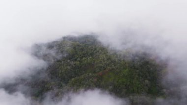 Hawaii, Kauai Adası 'ndaki yeşil uçurumların havadan görünüşü kısmen kalın bulutlarla kaplı. Hareket, sislerin arasından engebeli araziyi ortaya çıkarıyor..