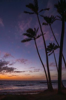 Silhouetted palm trees stand against a vivid sunset sky of purple and orange hues, with gentle ocean waves and scattered clouds in Hawaii. clipart