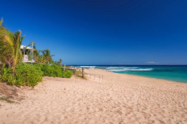 Berrak turkuaz suları olan sakin bir sahil, ahşap çit yolu, yemyeşil bitki örtüsü, palmiye ağaçları ve solunda küçük bir yapı..