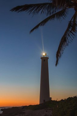 Uzun beyaz bir deniz feneri, kumlu bir sahil şeridinde bitki örtüsü olan bir palmiye ağacı silueti tarafından çerçevelenmiş canlı bir günbatımı gökyüzüne karşı fenerini parlatır..