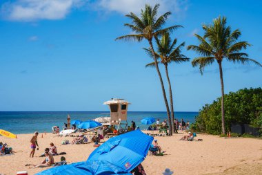 Cankurtaran kulesi, mavi şemsiyeler, sakin okyanus suları, yüksek palmiye ağaçları ve açık mavi gökyüzünün altında yemyeşil..