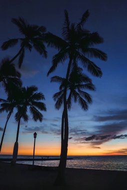 Palmiye ağaçları, sakin bir okyanusun üzerinde canlı bir günbatımı gökyüzüne karşı siluet halinde duruyor. Bir sokak lambası ve soluk bir iskele dingin Hawaii sahnesine ince detaylar ekler..