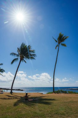 Two tall palm trees stand against a bright blue sky near a sparkling ocean. A person sits on the grass, with a rocky shoreline visible to the left. clipart